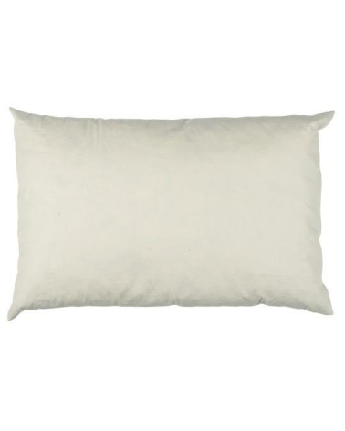 Coussin plume 60X40 550gr