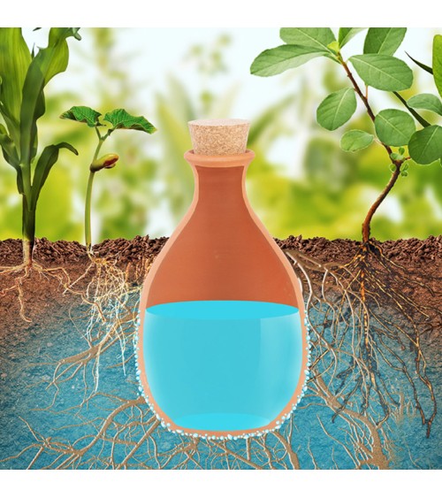 OLLA Hydratante - potager 1.9l