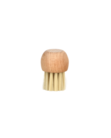 Brosse à champignons