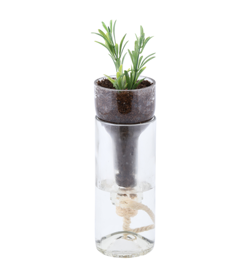 Pot auto arrosage verre