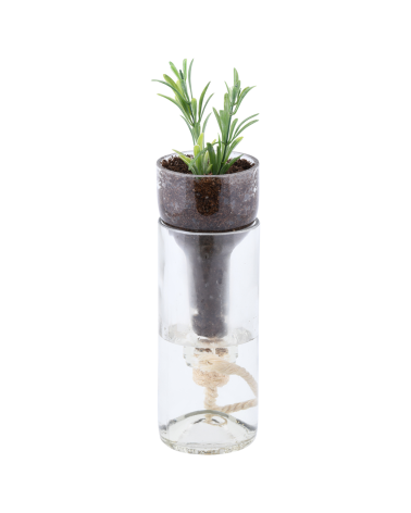 Pot auto arrosage verre