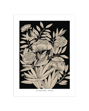 Affiche 30x40cm le cerisier A19 Pivoines