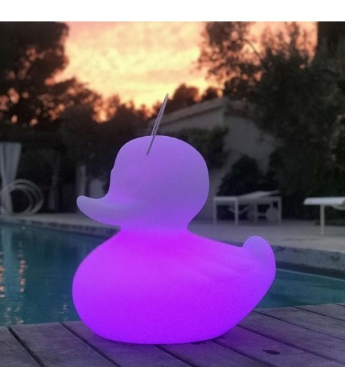 Lampe FLOTTANTE Canard