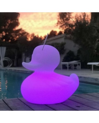 Lampe FLOTTANTE Canard