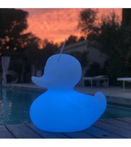 Lampe FLOTTANTE Canard