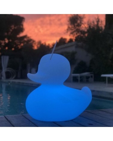 Lampe FLOTTANTE Canard