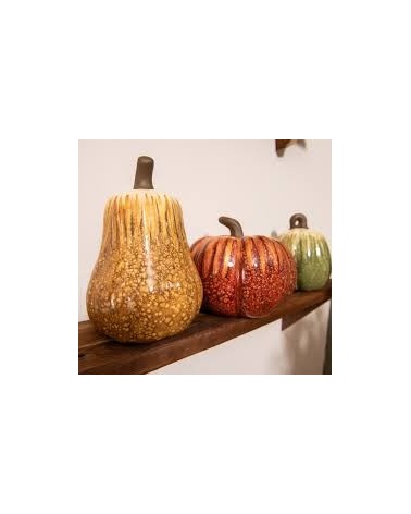 Courge terracota moutarde